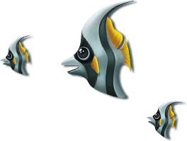 fish6