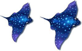 fish3