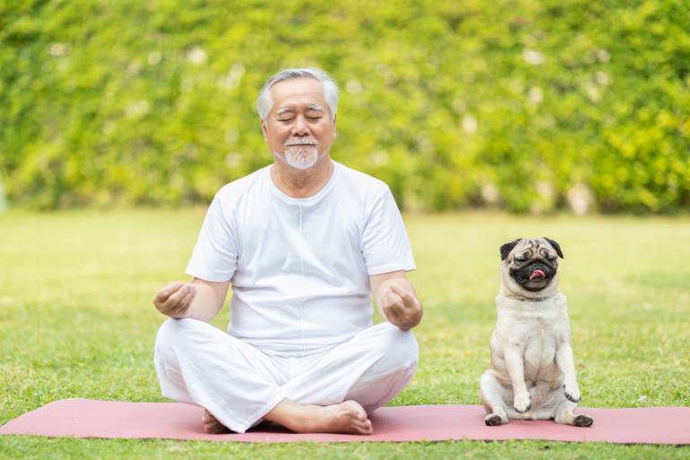 animals and relaxation