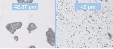 daflon micronization