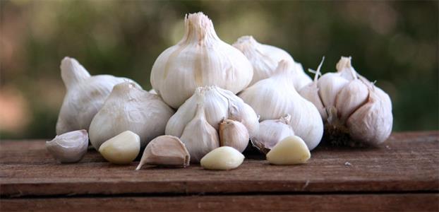 garlic for cvd