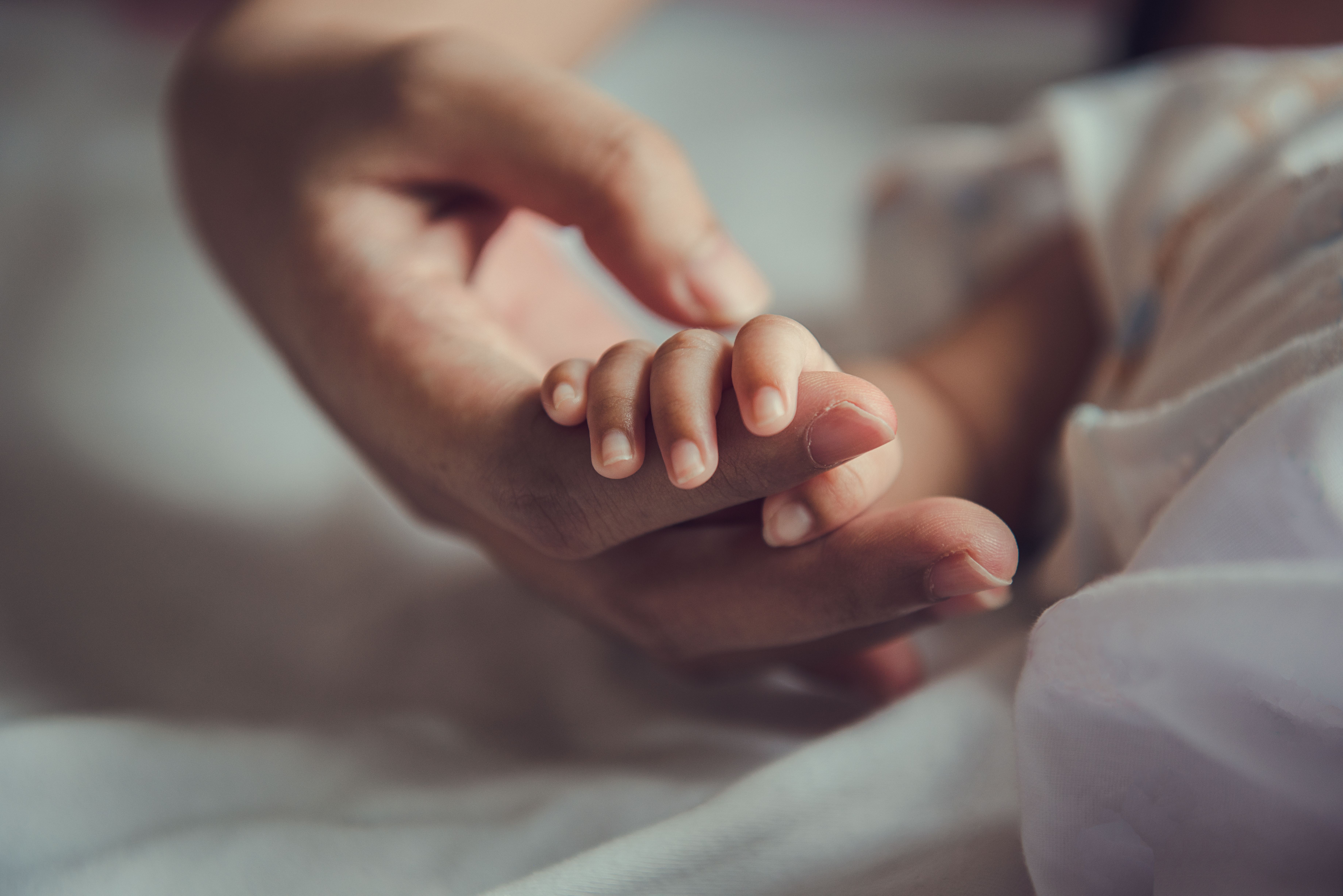 postpartum hemorrhoids