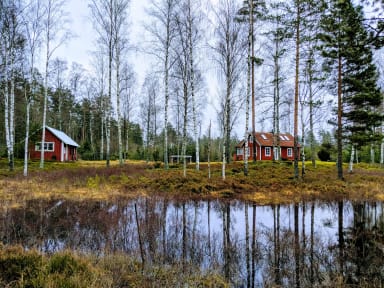 Ødegården