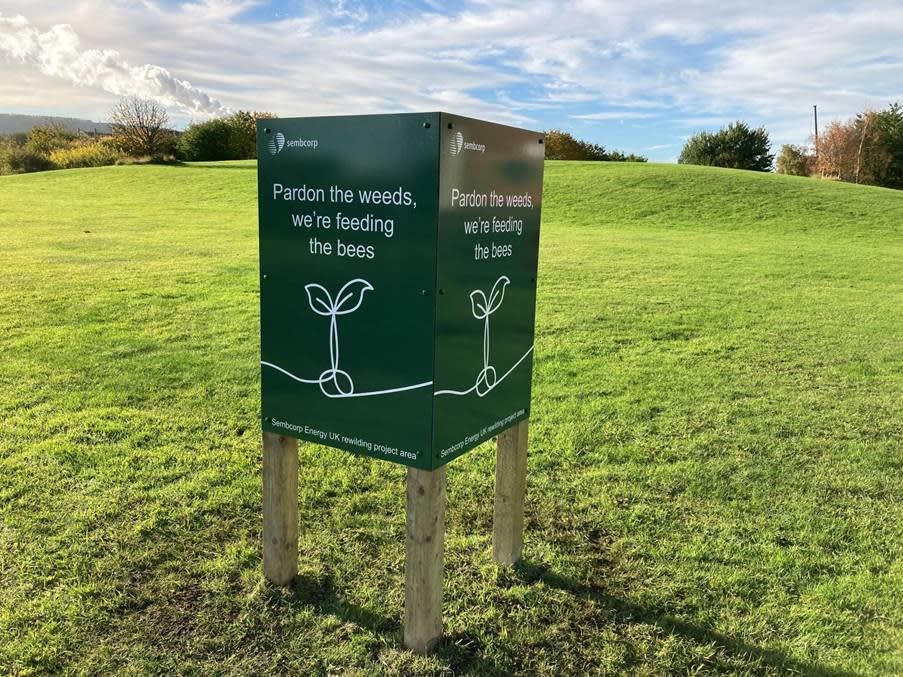 Encouraging biodiversity: Wilton International’s rewilding project