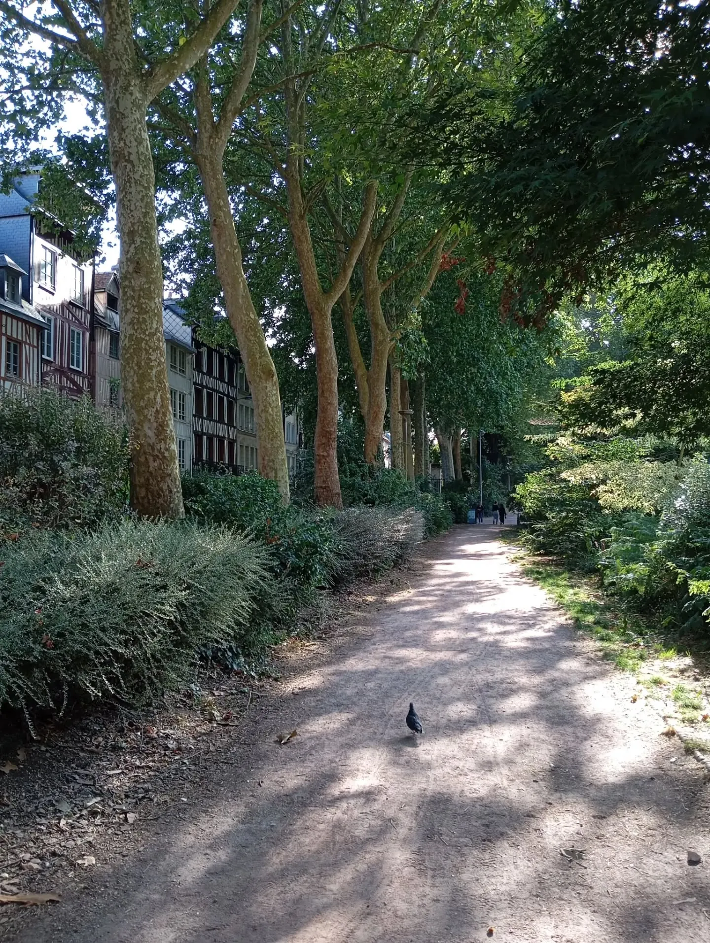 Jardin de l'Hôtel de Ville, Rouen — Photo par Rouenenphoto