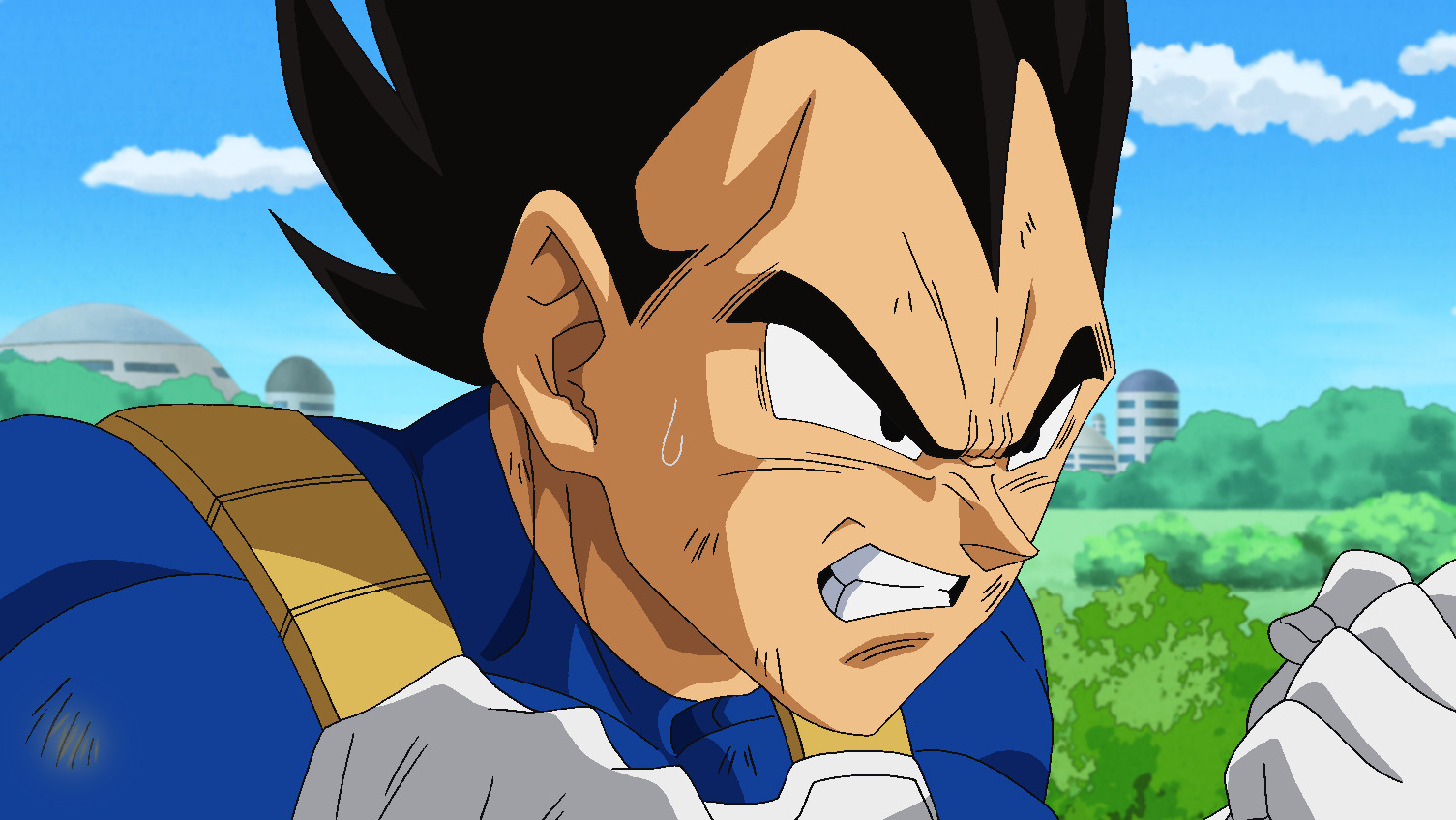 Watch Dragon Ball Super Season 1 Episode 16 Anime on Funimation