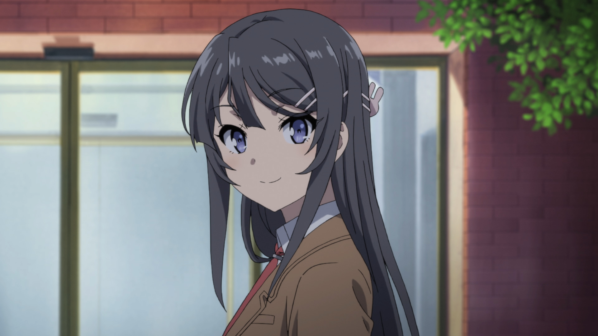 Bunny Girl Senpai - Where Can I Watch Bunny Girl Senpai