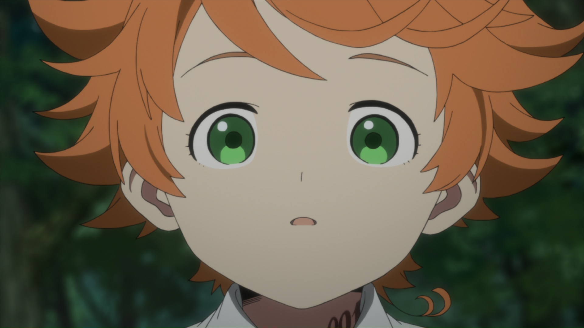 Watch The Promised Neverland Season 1 Episode 1 Anime on Funimation