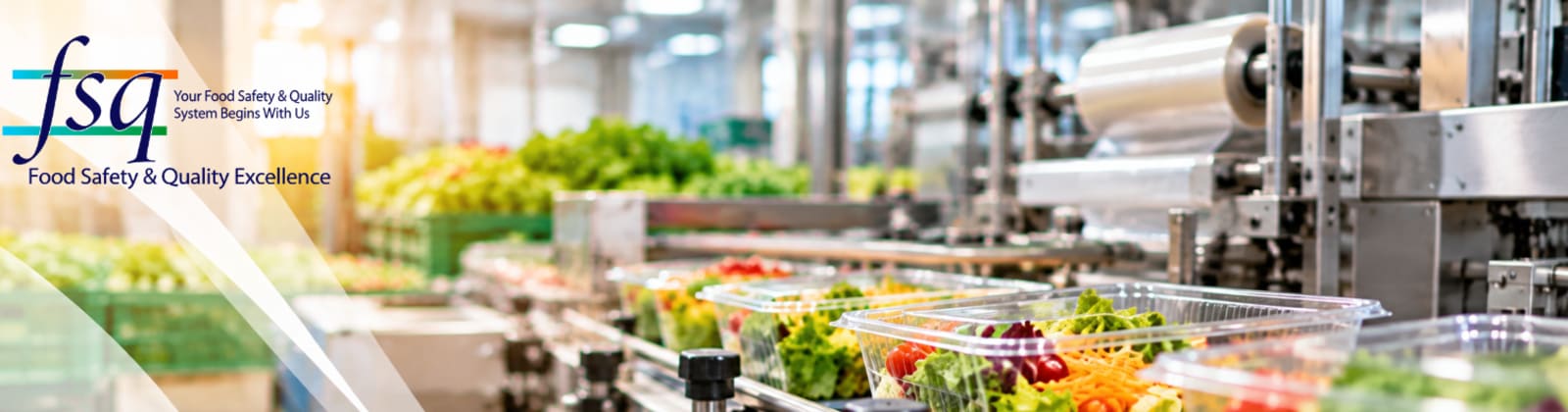 FSQ Excellence — Your Food Safety and Quality System Begins With Us