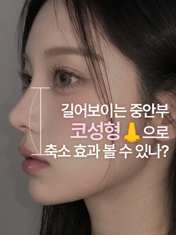 중안부가 길어 보이는 얼굴의 코 비율
