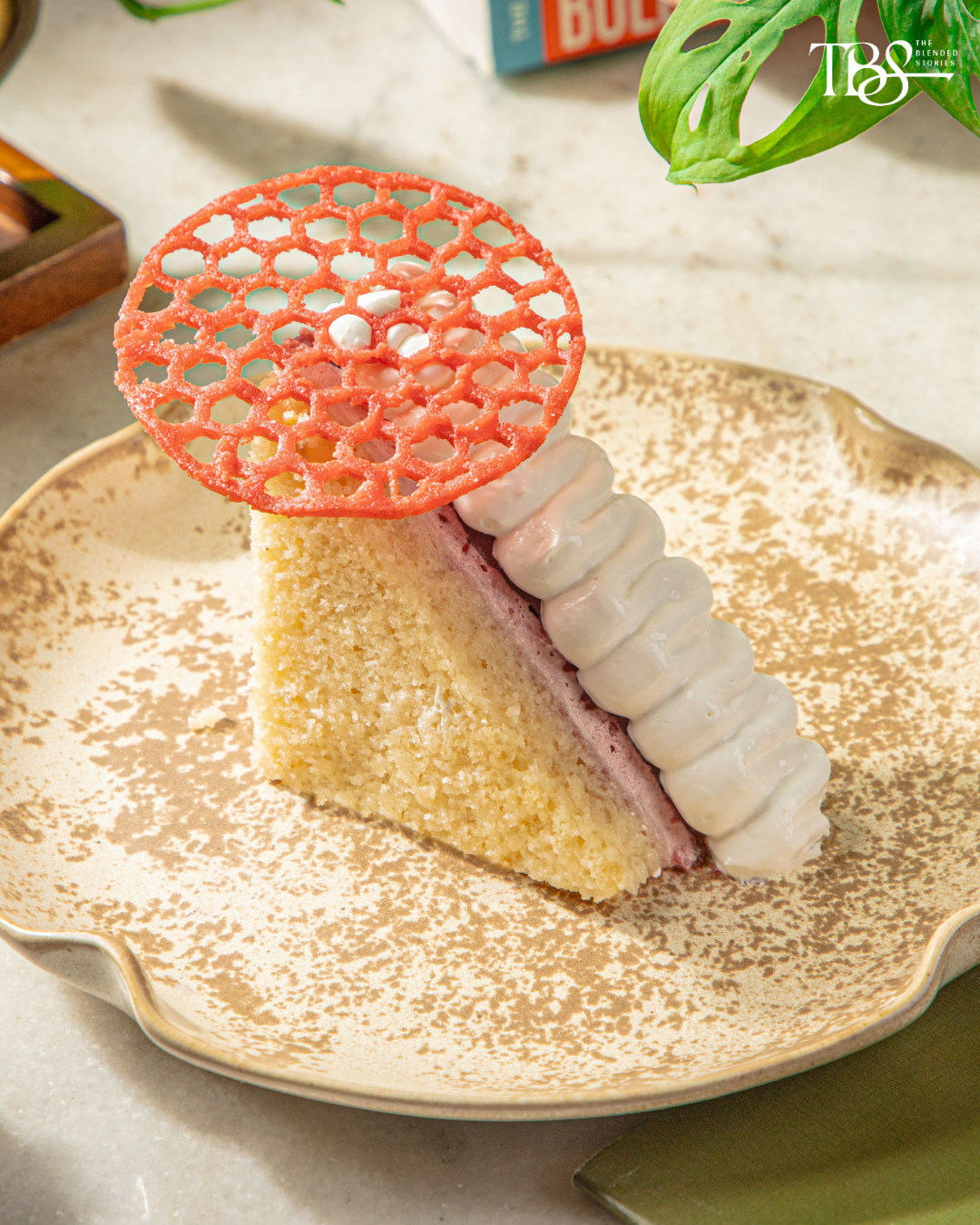 Paashh - Raspberry Swirl Cheesecake.