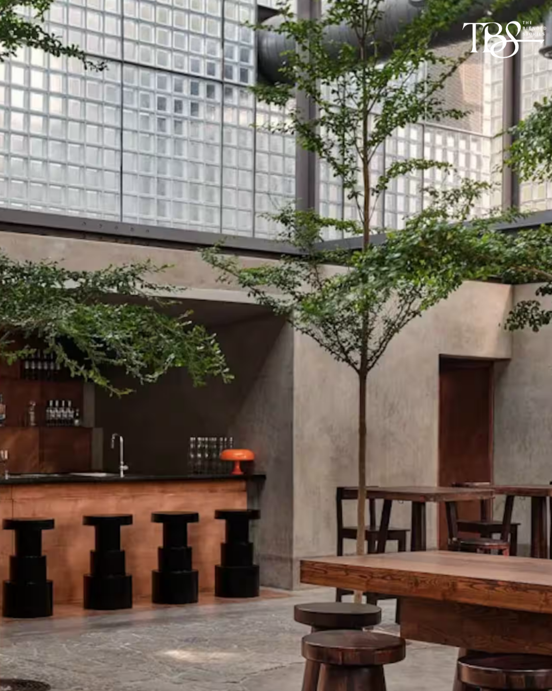 Brine — A newcomer bringing contemporary dining and a polished night-out energy.