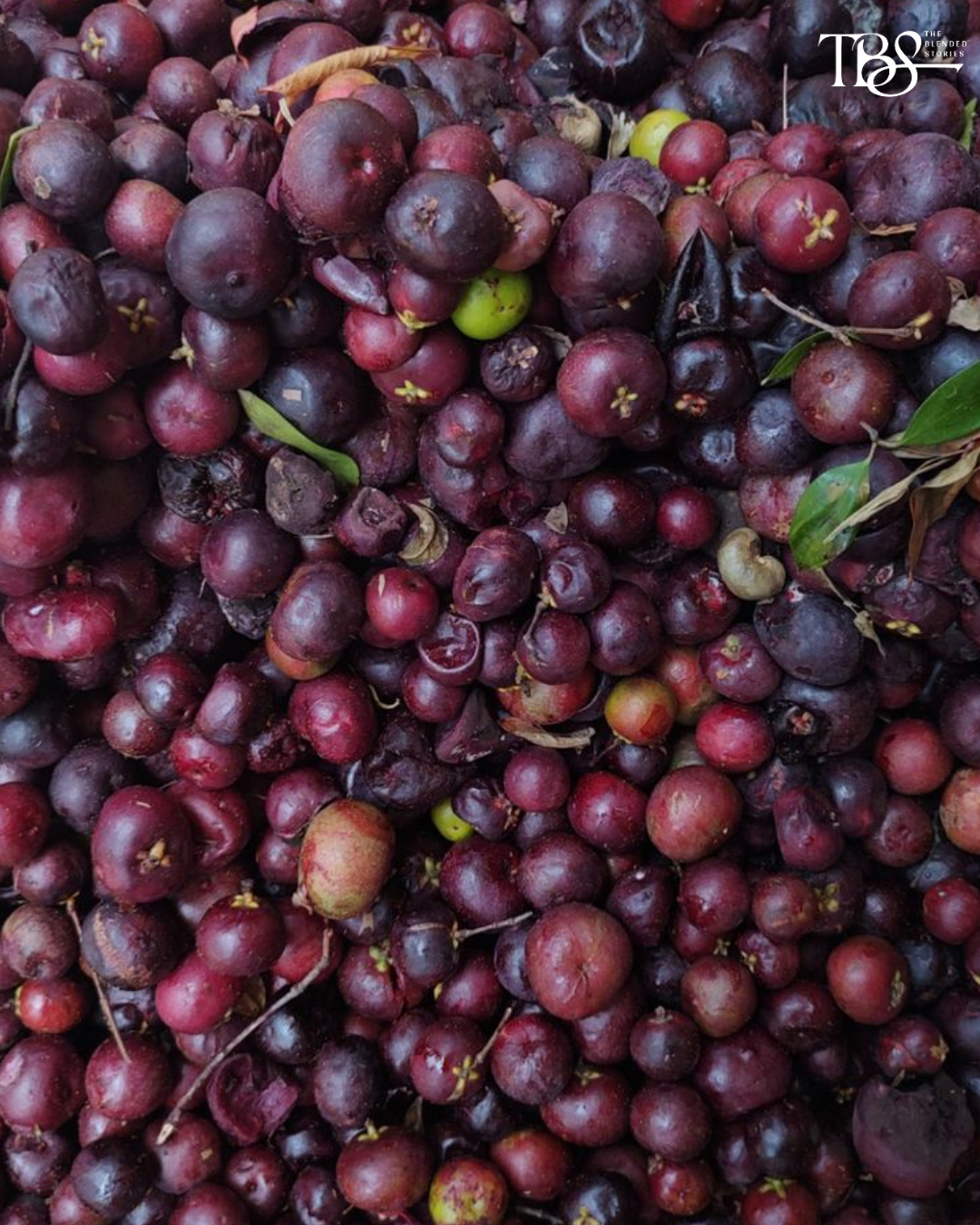 Kokum - A coastal staple finding new life beyond the summer cooler.