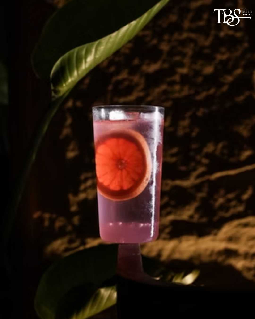 The Dual Room — An intimate cocktail bar built around a more immersive, after-dark experience.