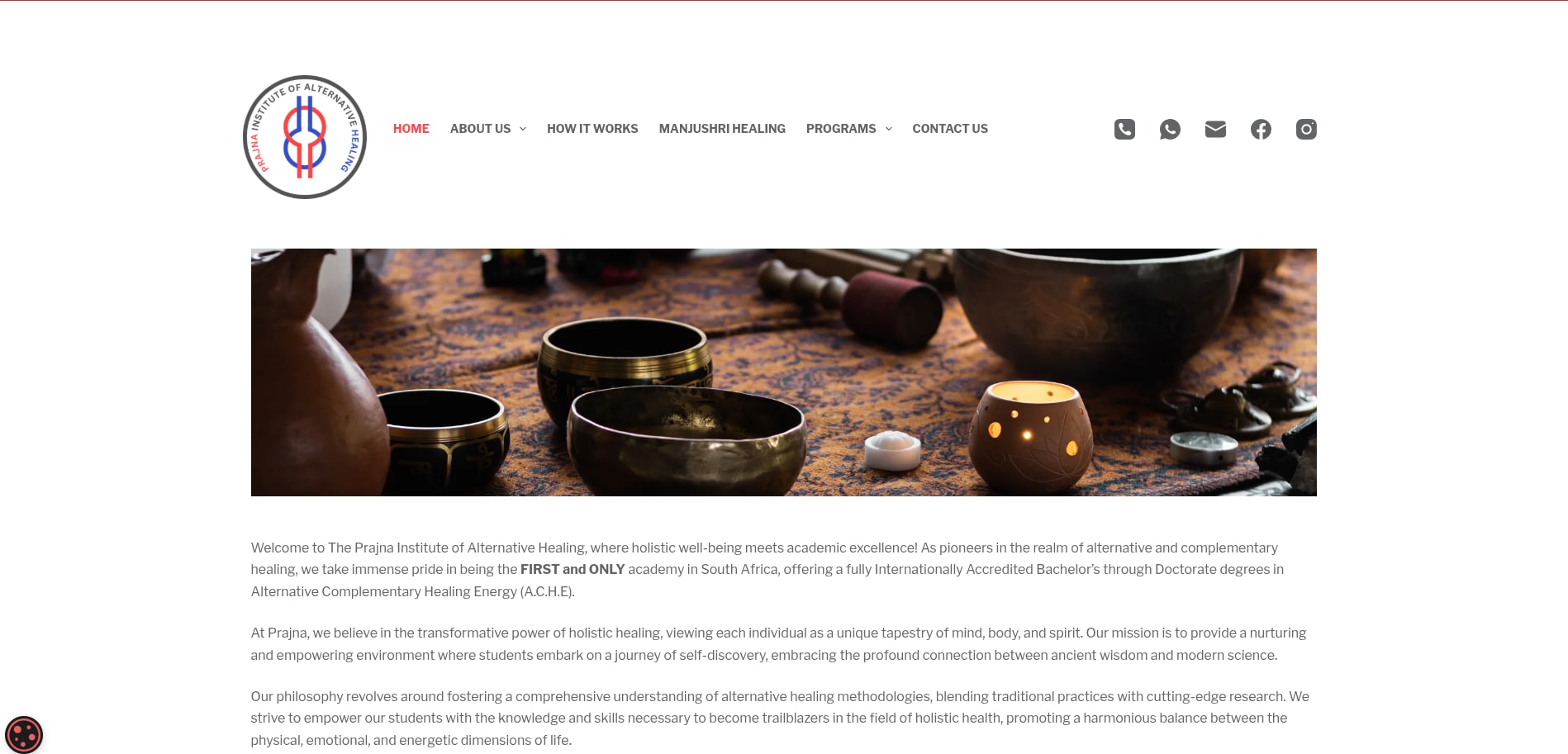 Prajna Institute - Website screenshot