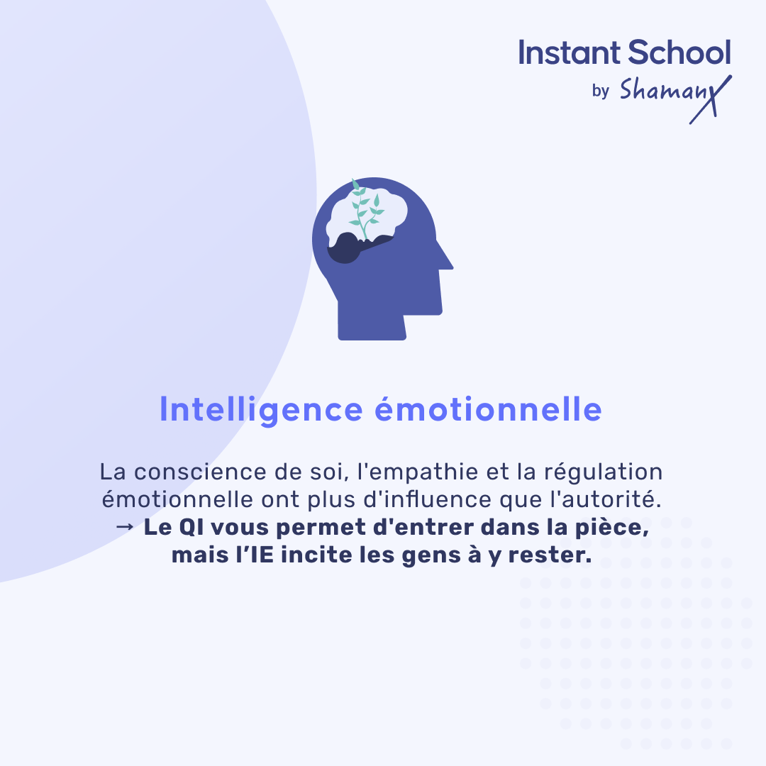 Formation leadership capture d'écran 3