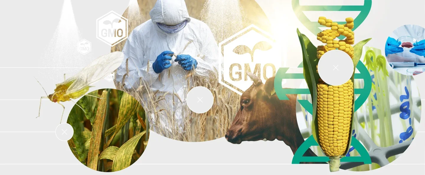 3.3.1 Engineering Crops and Livestock. 2026
