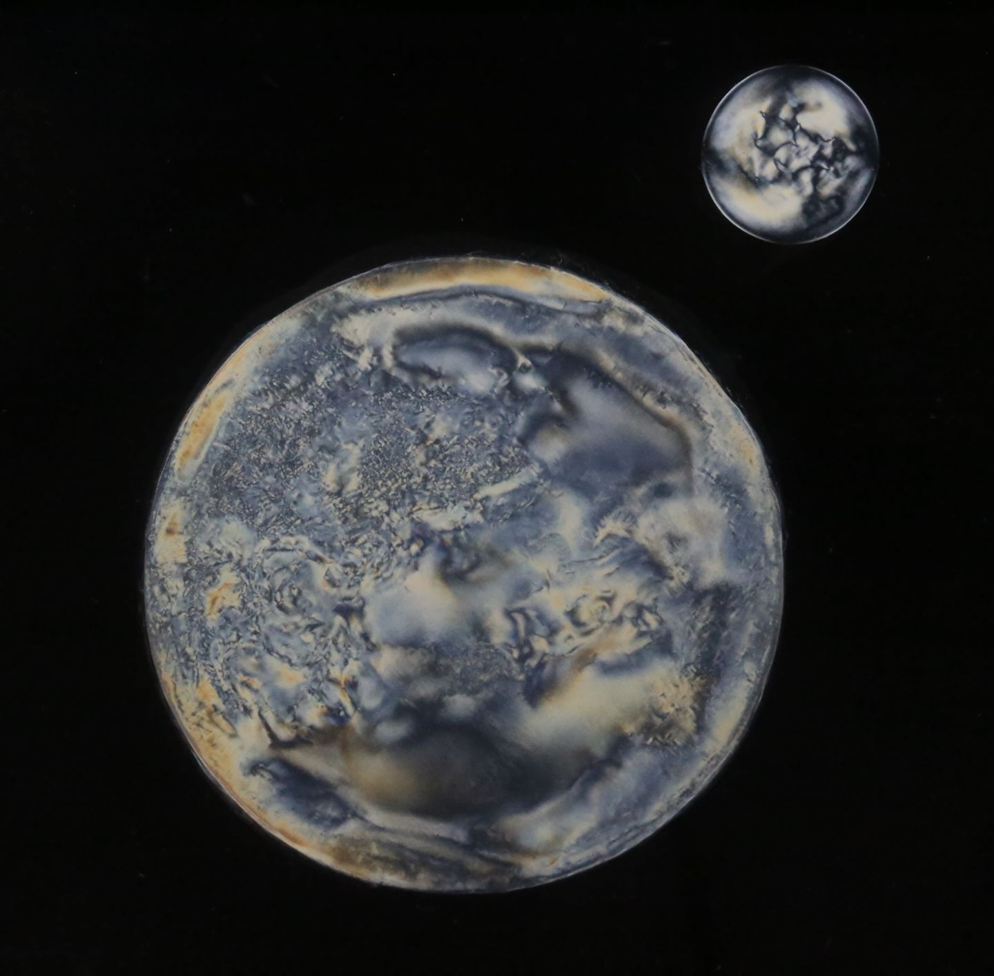 "Cellulose Planets" by Elise Ansart, ETH Zurich