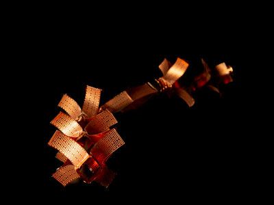 "Robotic worm" by Véronique Buclin, University of Fribourg