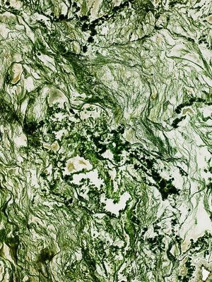"Mineral Pollock Painting" by Stefan Ansermet, Natural Sciences Museum of Lausanne