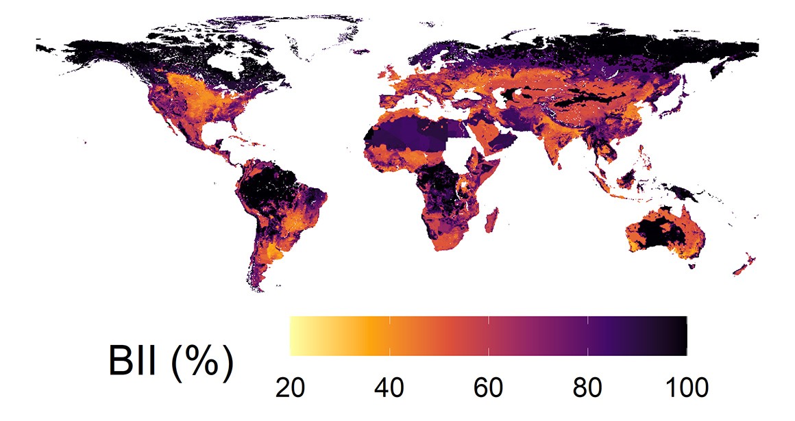 A data tool that graphs the Biodiversity Intactness Index (BII) across regions and predicts future biodiversity loss due to human...
