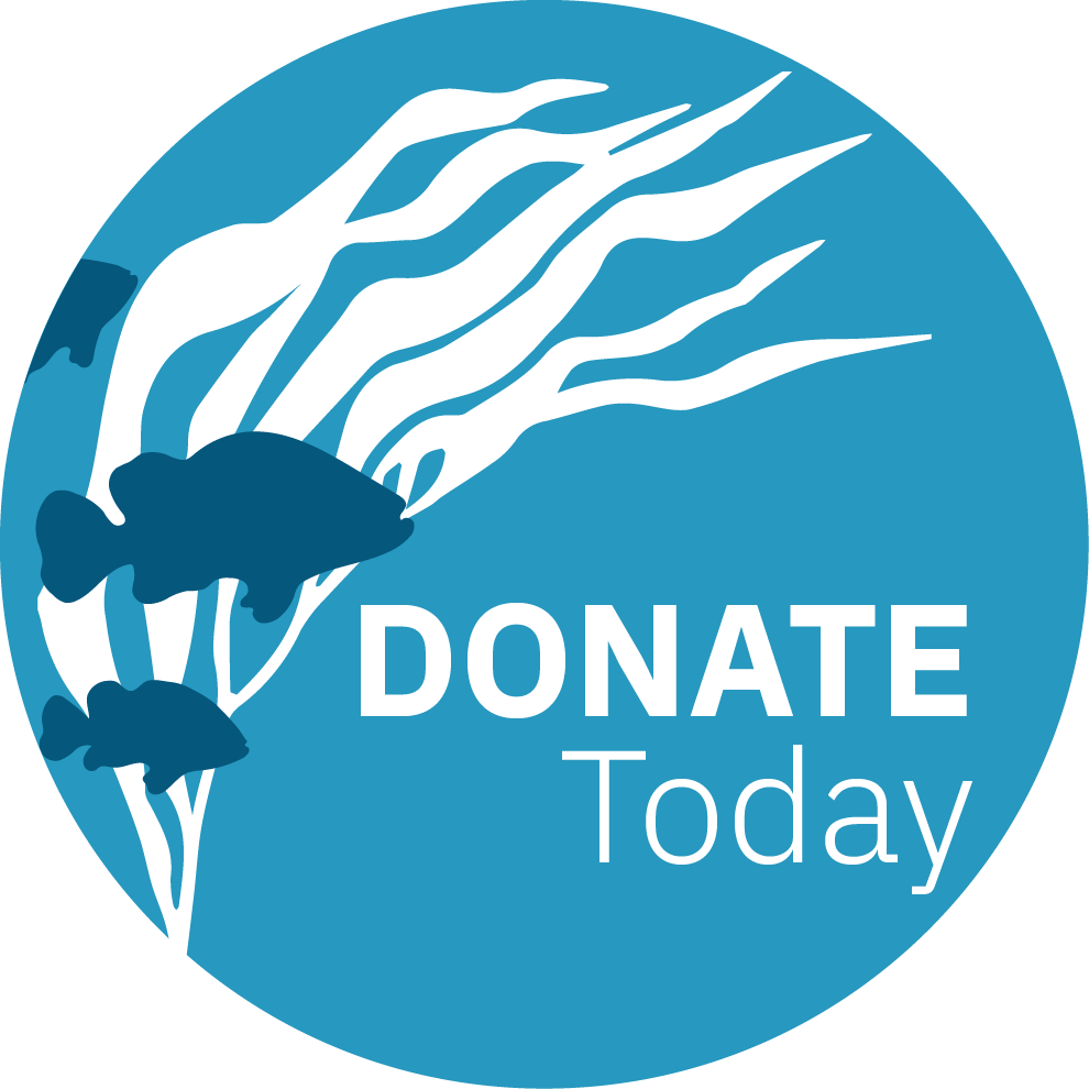 Donation tab
