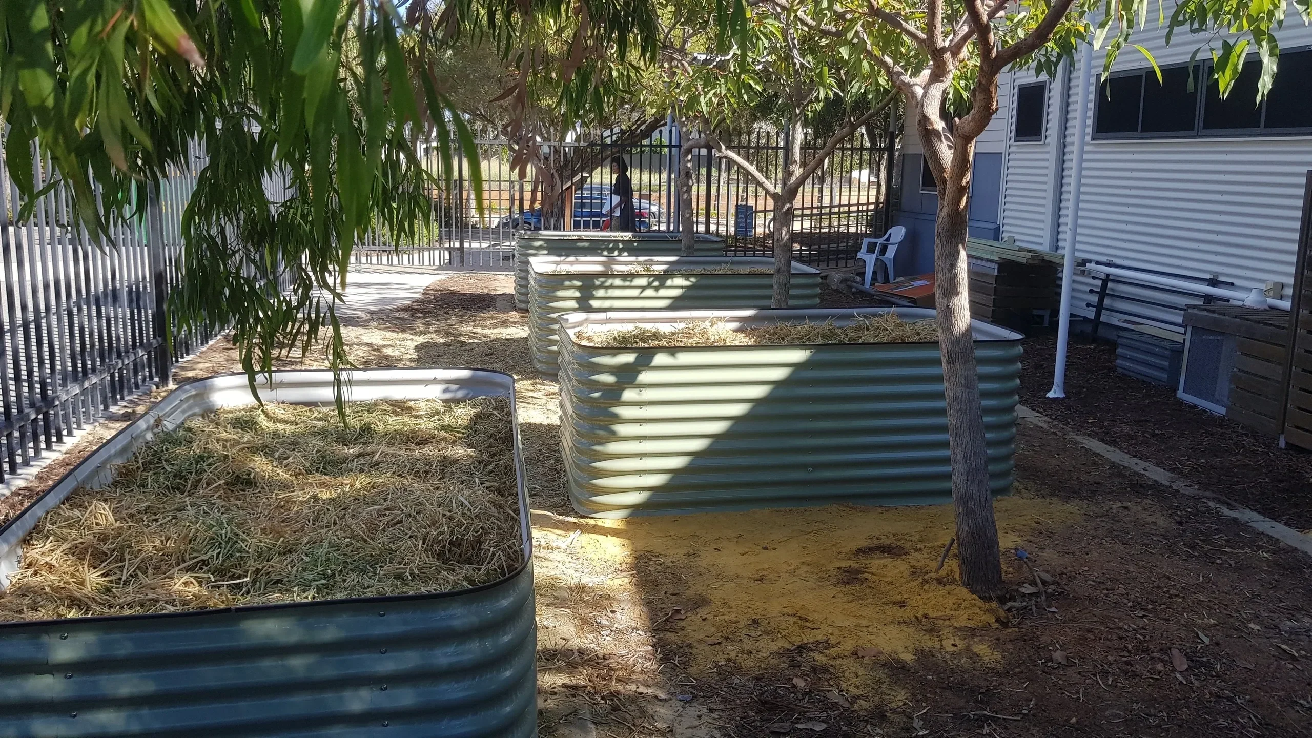 Photo sourced from: https://clra.com.au/environmental-activities