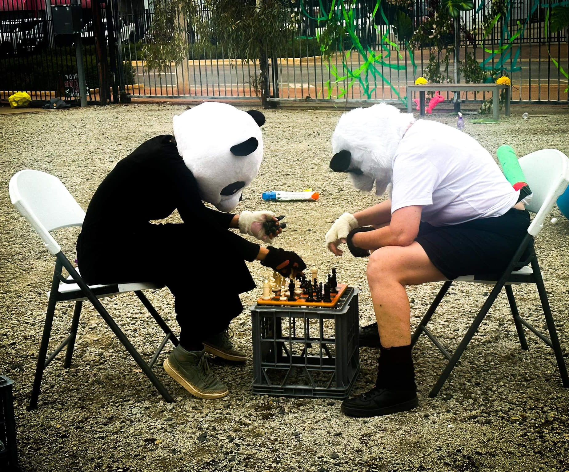 Pandas playing chess