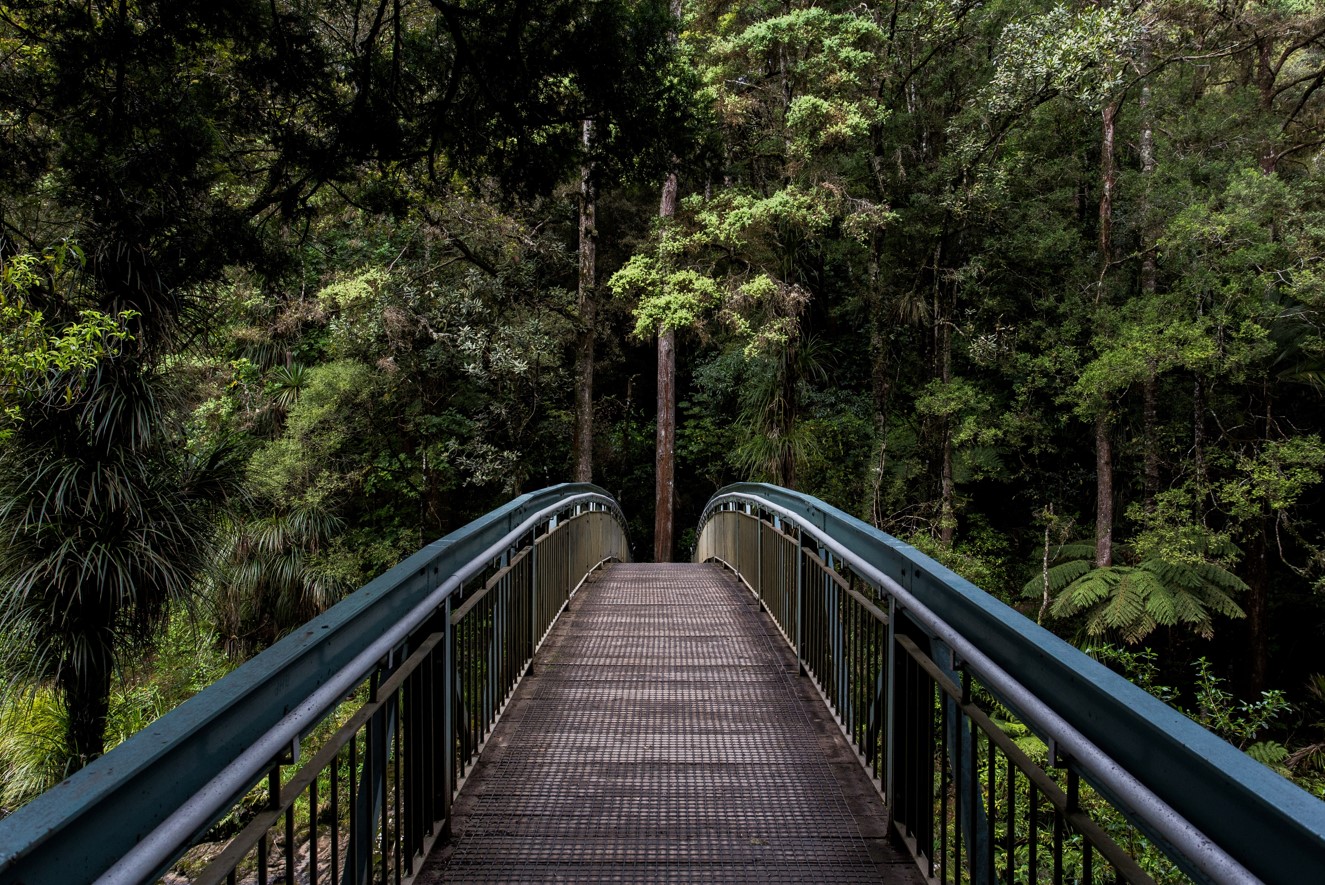 nature image