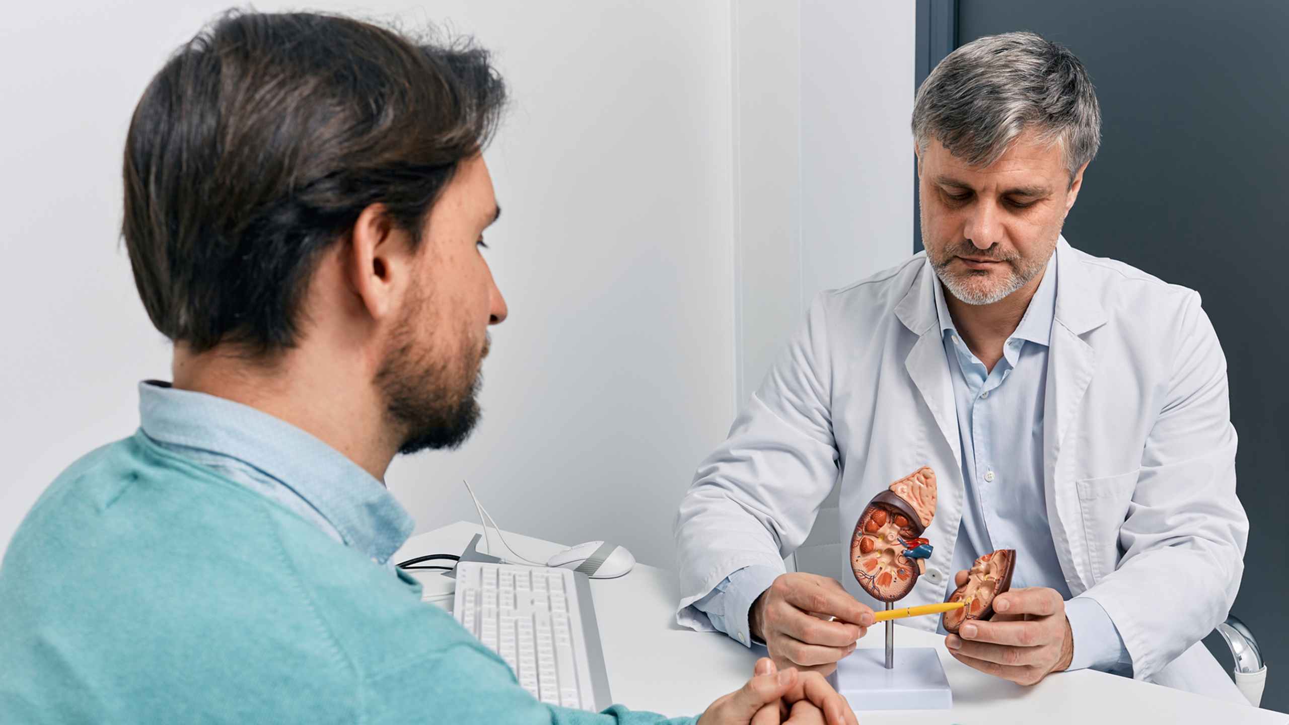 Understanding and treating IgA nephropathy