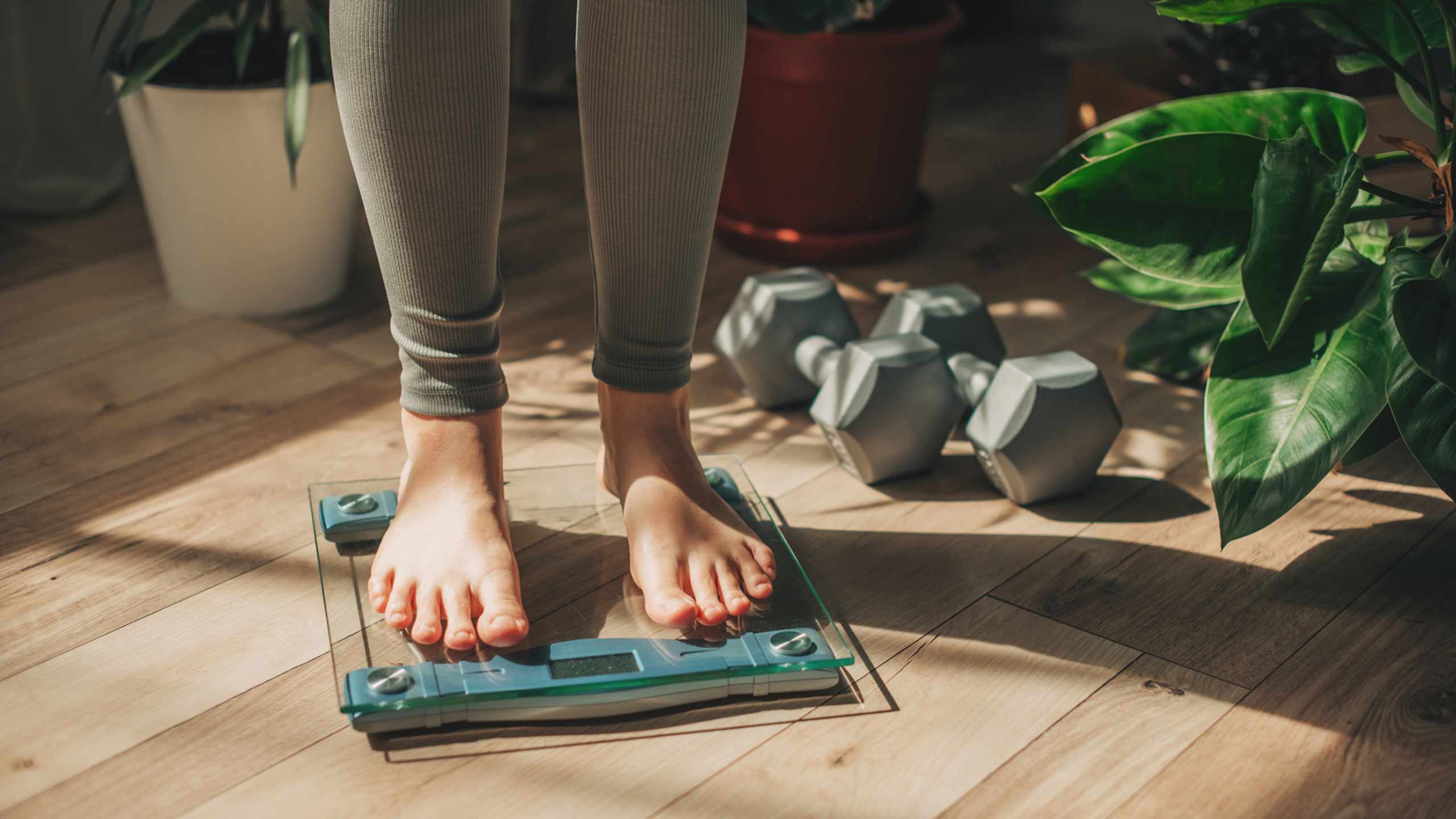 Obesity: a guide to achieving weight management goals