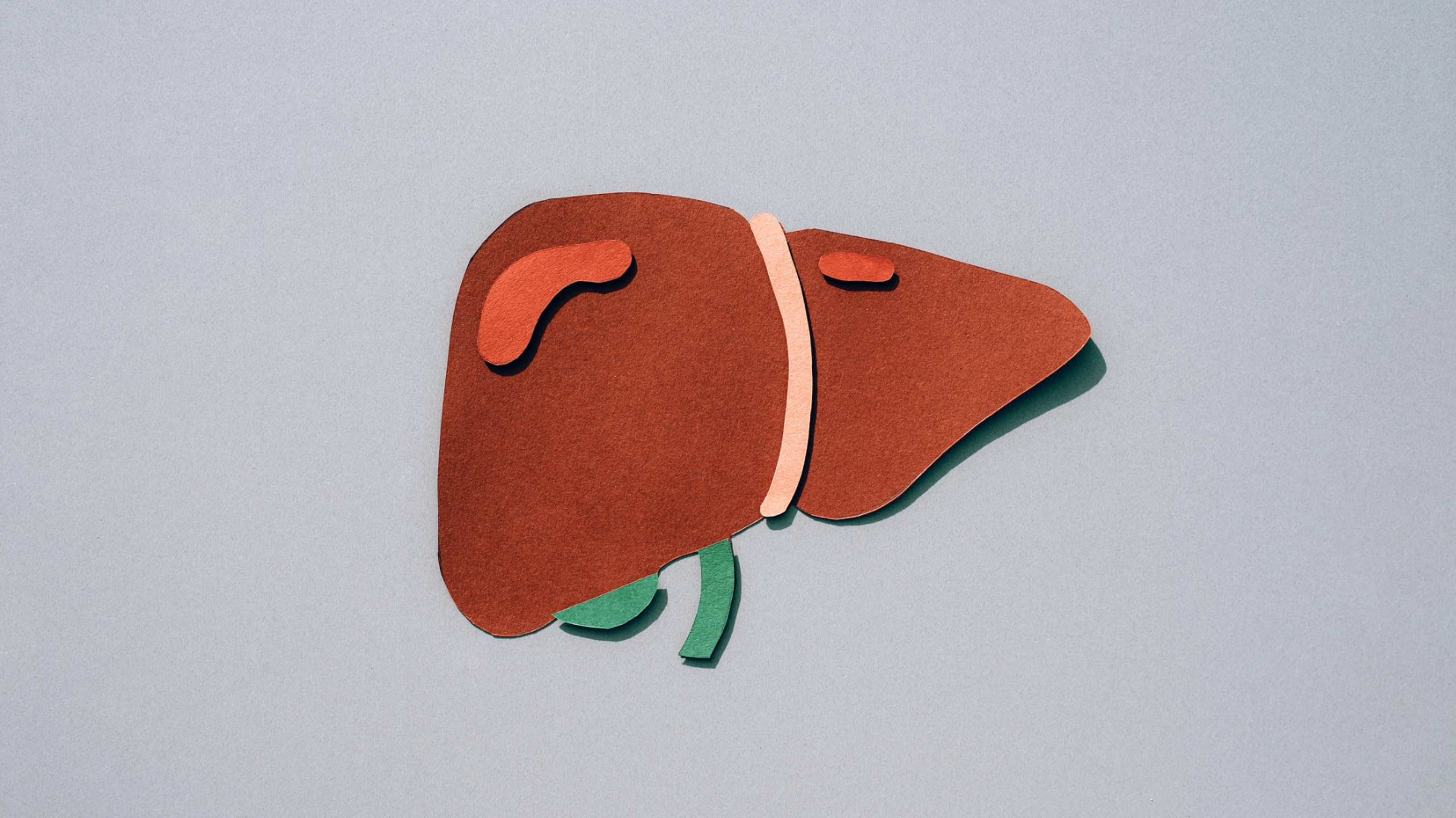 A guide to treating MASH liver disease (also known as NASH)