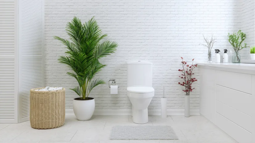 A clean white bathroom with a plant.
