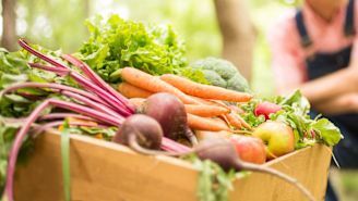 5 healthy ways to go green for the environment
