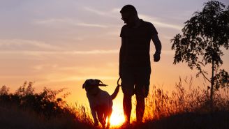 Walking May Decrease Heart Attack and Stroke Risk in People with Prediabetes