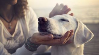 How fur helps you live longer