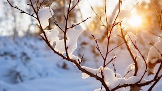 Understanding Seasonal Affective Disorder (SAD)