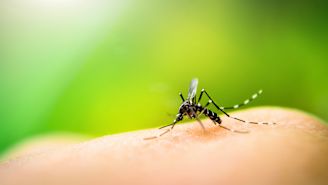 8 ways to reduce your risk of getting Zika