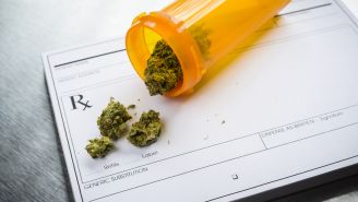 What You Need to Know About Medical Cannabis