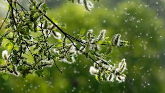 Dos and don'ts for calming itchy, watery eyes