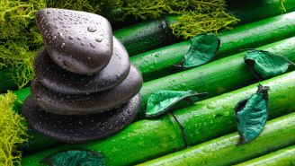 Ease fibromyalgia with stress management