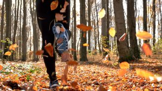 Top healthy reasons to love fall