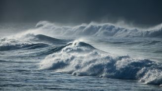 No, you shouldn’t surf in hurricanes