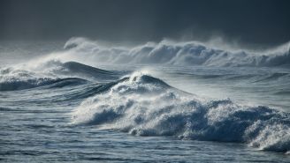 No, You Shouldn’t Surf in Hurricanes