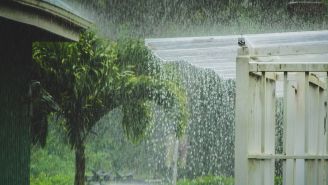 The insider’s guide to healthy Hawaii: Turn around, don't drown—plus other ways to stay safe during a flood