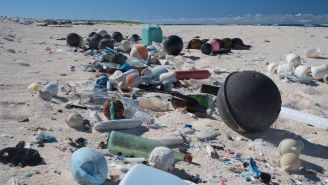 What you need to know about ocean trash in Hawaii