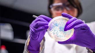 Where did superbugs come from?