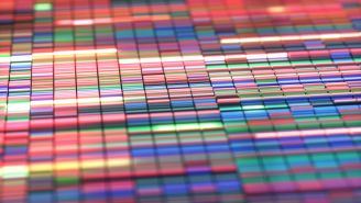 The link between genetics and psoriasis