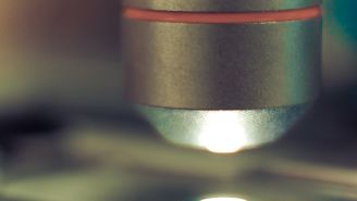 What are PD-1 and PD-L1?