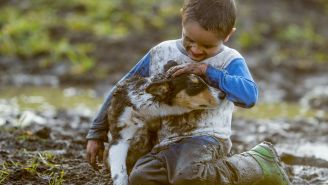Allergies: Is cleanliness at the root of the problem?